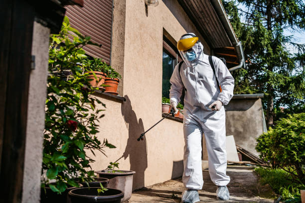 Best Termite Control Services  in Fort Bragg, CA